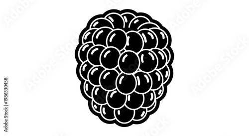 Blackberry Fruit Closeup Illustration.