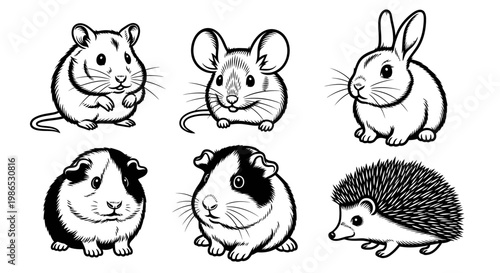 Cute cartoon animals for kids education.