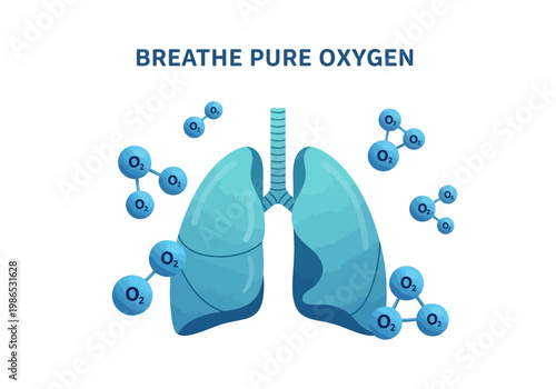 Vector Illustration of Lungs with Oxygen Molecules, Promoting Pure Air and Health
