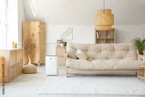 Modern humidifier in beauti...
