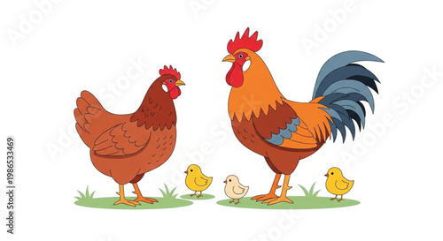 Farm chicken family vector set with rooster hen and cute yellow chicks cartoon illustration isolated on white background