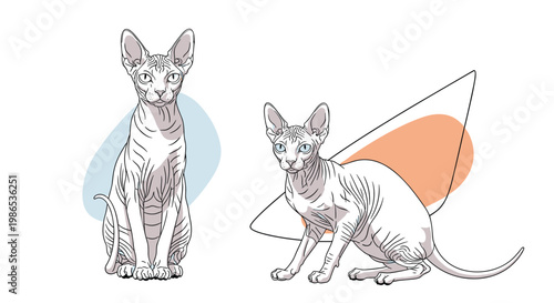 Detailed illustration of two hairless Sphynx cats in sitting and crouching poses with soft blue and orange abstract shapes behind them.