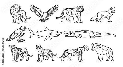 Wild animals in various species.