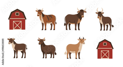 Cows and bulls standing near barns.