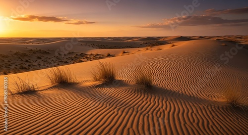 Sand dunes landscape at sunset golden hour