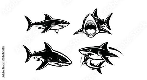 Monochrome Shark Illustrations - A Collection of Aquatic Predators.