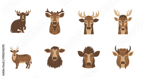 Brown Deer Heads and Bodies Illustration.