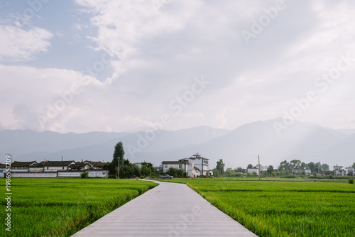 Photos road in the countryside