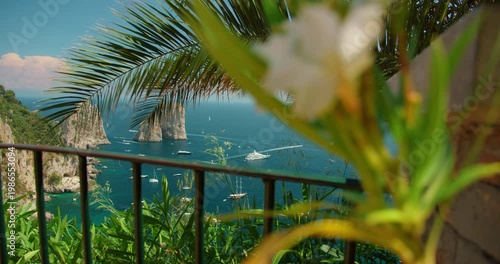 View of Faraglioni sea cliffs framed by palm leaves on summer day in Capri Italy