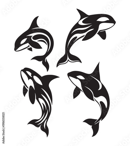 flock of orca art design