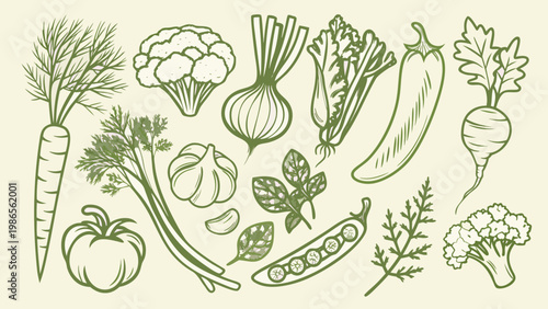 A botanical illustration displaying a variety of fresh garden vegetables