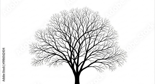 A detailed illustration of a majestic bare deciduous tree, showcasing its intricate branch structure against a clean white background, evoking the essence of winter nature