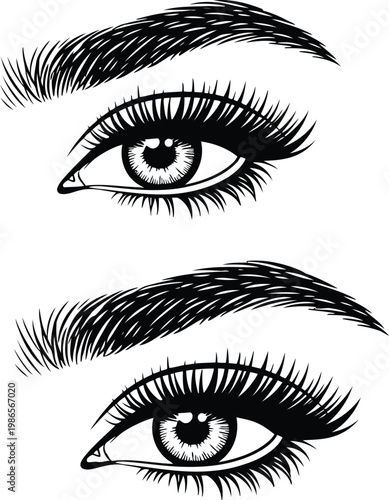 Beautiful female eyes with thick eyebrows and long eyelashes hand drawn ink sketch illustration set