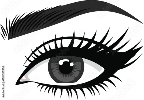 Beautiful female eye with long eyelashes and perfect eyebrow styling isolated on white background vector