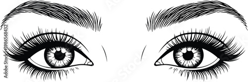 Beautiful female eyes with long eyelashes and groomed eyebrows hand drawn sketch illustration isolated white