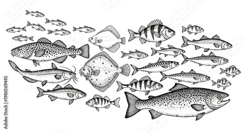 A diverse school of various freshwater and saltwater fish swimming together in a pattern