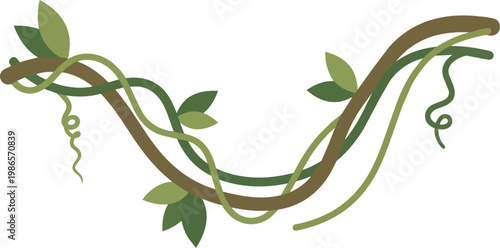 Intertwined vines with leaves and tendrils.