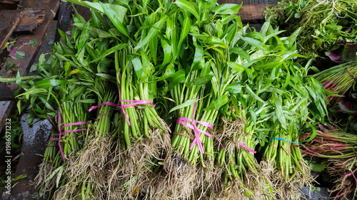 Fotografie Bunches of Fresh Water Spinach or Kangkung at Market