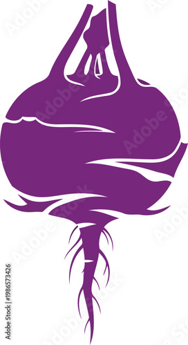 Purple onion silhouette with roots vegetable