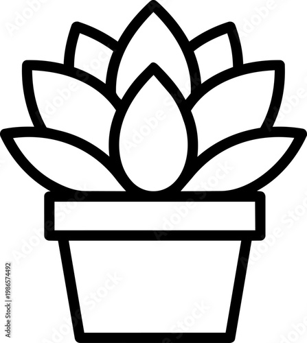 Potted plant with broad leaves.