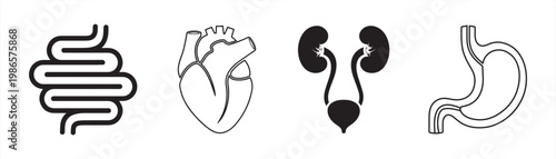 icon of human internal organs, symbol of intestines, heart, kidney bladder ducts and stomach tract, illustration of digestive organs, vector eps 10