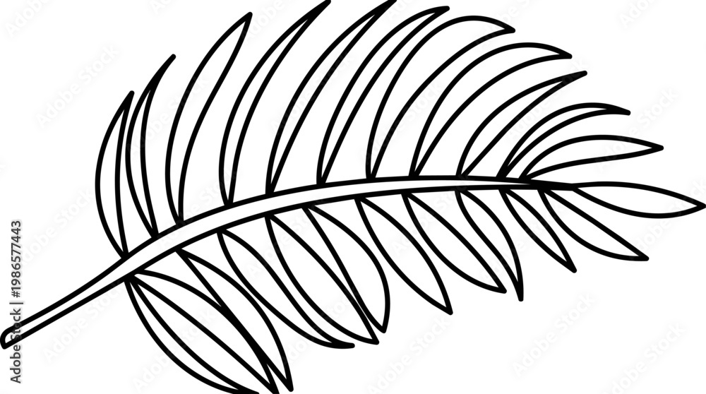 Fototapeta premium Palm leaf line drawing isolated on white background.