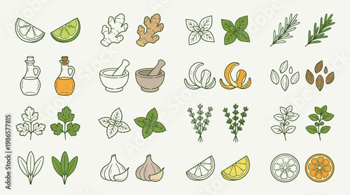 A collection of hand-drawn illustrations of various herbs, spices, fruits, and kitchen tools, presented in a clean, minimalist style on a light background.