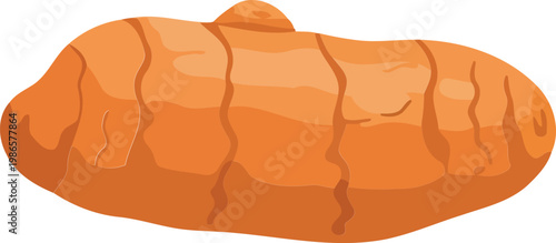 Turmeric root with cracks spice orange