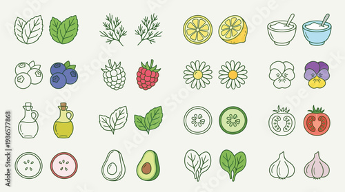 A collection of colorful and detailed illustrations of fresh ingredients, herbs, and garnishes, perfect for culinary themes.