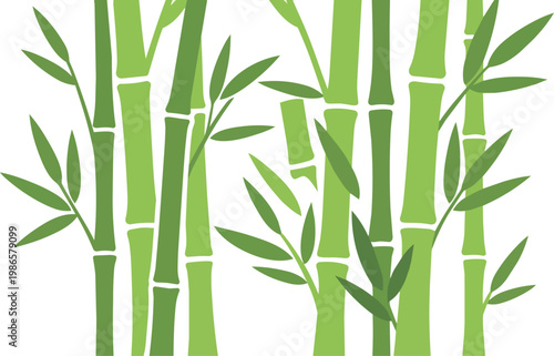 Bamboo stalks close up nature scene.