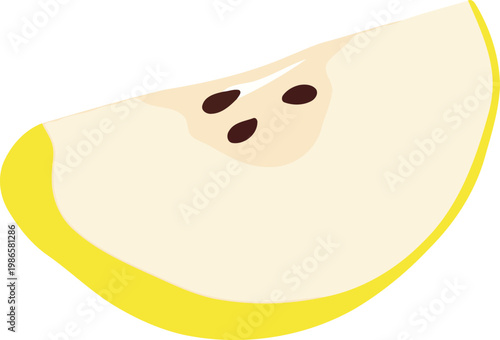 Yellow Melon Slice with Seeds slice of melon fruit