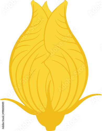 Yellow onion bulb with green shoots vegetable root vegetable