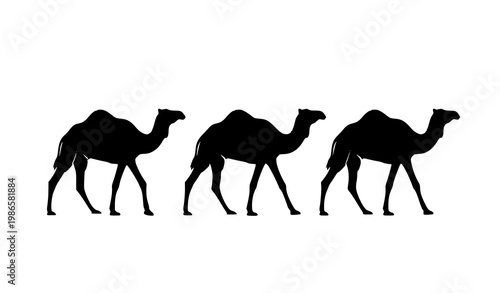 Four camel silhouettes walking in line vector set with simple desert animal shapes isolated on white