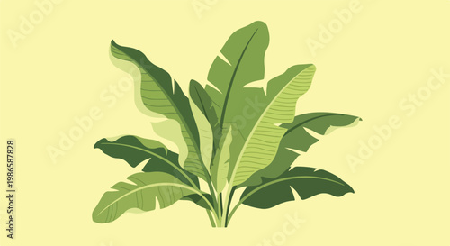 A digital illustration of a banana plant