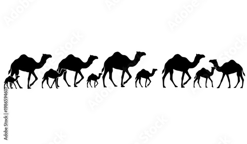 Camel caravan silhouette vector illustration with walking desert animals for travel and safari design