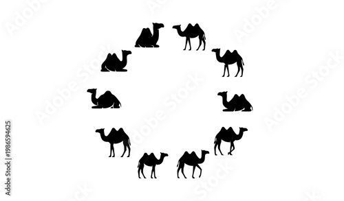 Camel silhouette badge vector set with desert animal shapes for logo and branding design