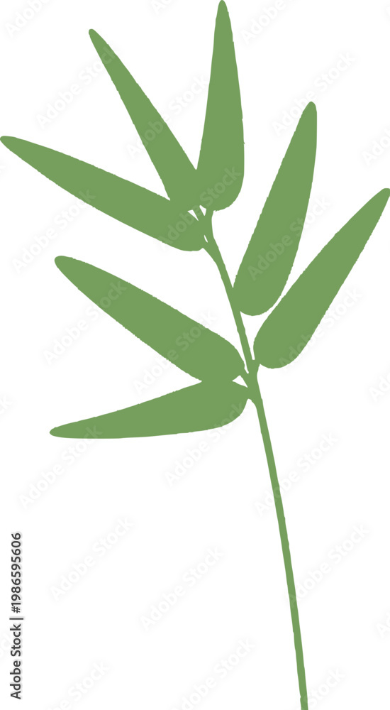 Fototapeta premium bamboo branch leaf