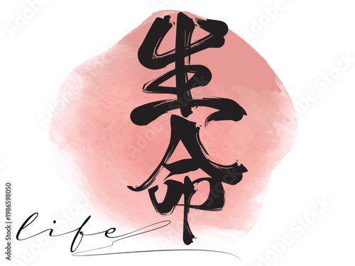 life Ink brush calligraphy. Hand written Kanji life, Hand drawn Hieroglyph translate life. Vector japanese black symbol on white background. Chinese calligraphic.eps