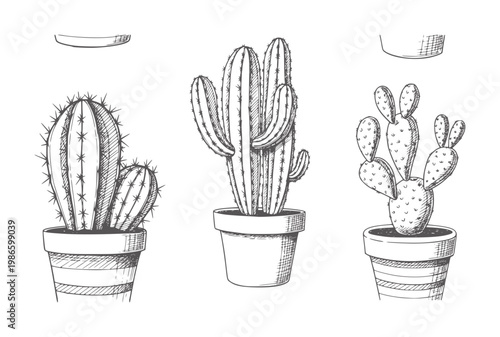 Three potted cacti in a hand drawn style cactus succulent plant monochrome