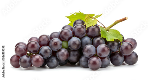 Fresh purple grapes with green leaves.