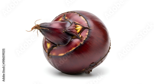 Roasted chestnut on white background.