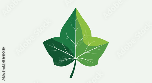 A stylized green leaf with vein details on light green background