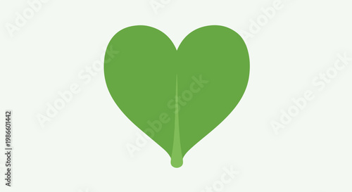 A green heart-shaped leaf