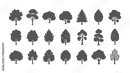 Collection of dark grey tree silhouettes white nature plant forest