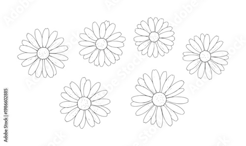 Seven outline daisy flowers arranged a white nature