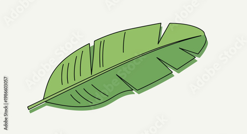 A green leaf with black lines
