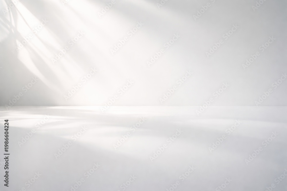 Obraz premium Minimalist white light shadows