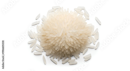 Rice grains and rice ball food.