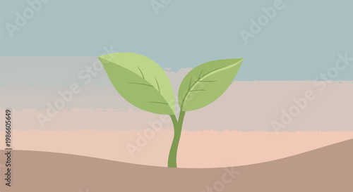 A green plant sprout emerges from brown soil