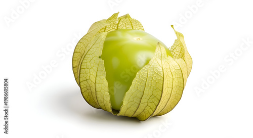 Tomatillo fruit with husk partially removed.